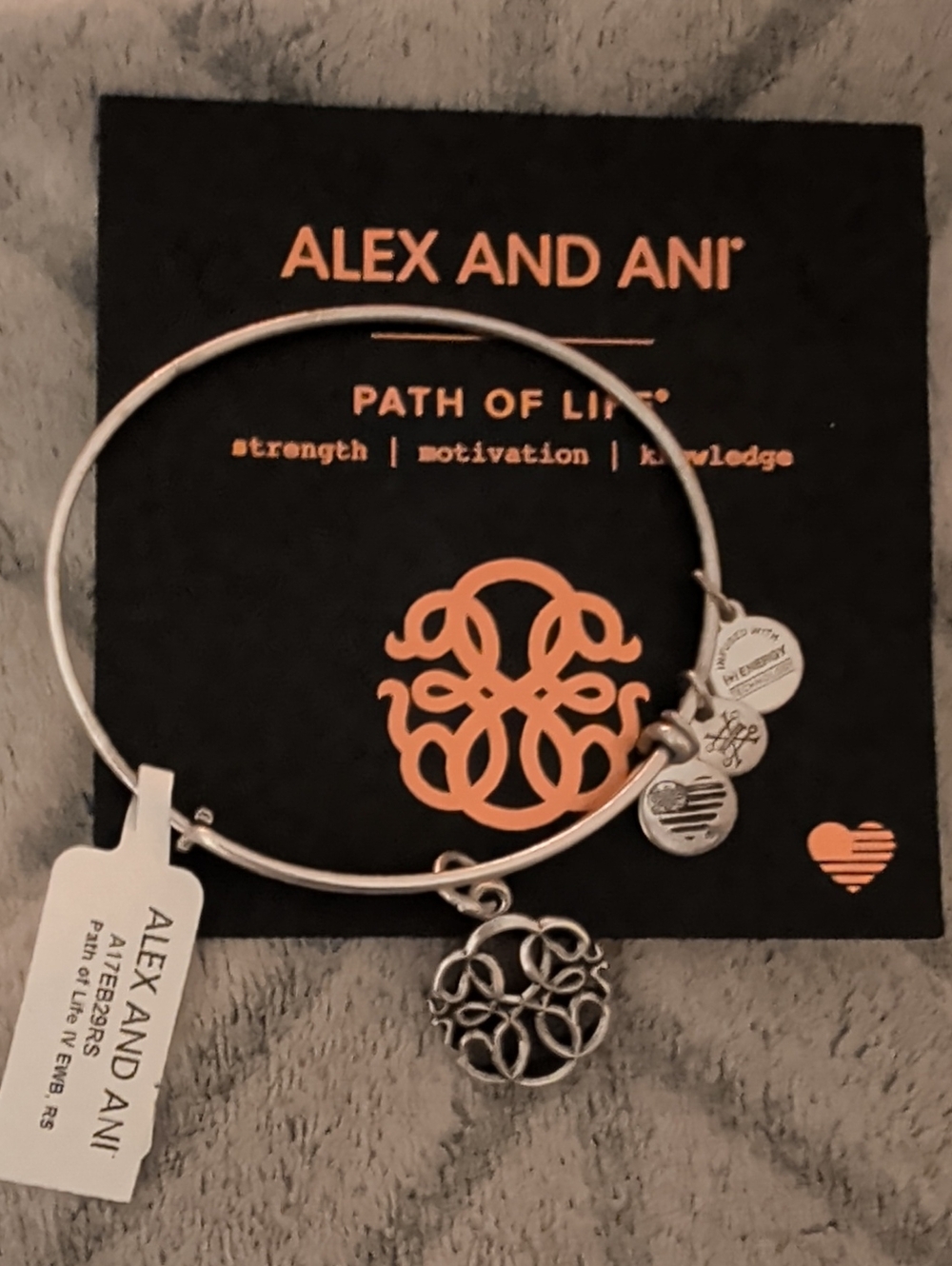Alex and Ani Silver Path of Life Filigree Charm Bangle